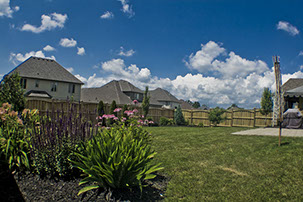 Green backyard with grass and nice garden