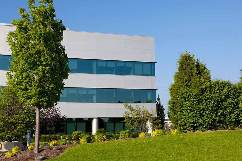 Green Landscape with Flowers and White Building in background