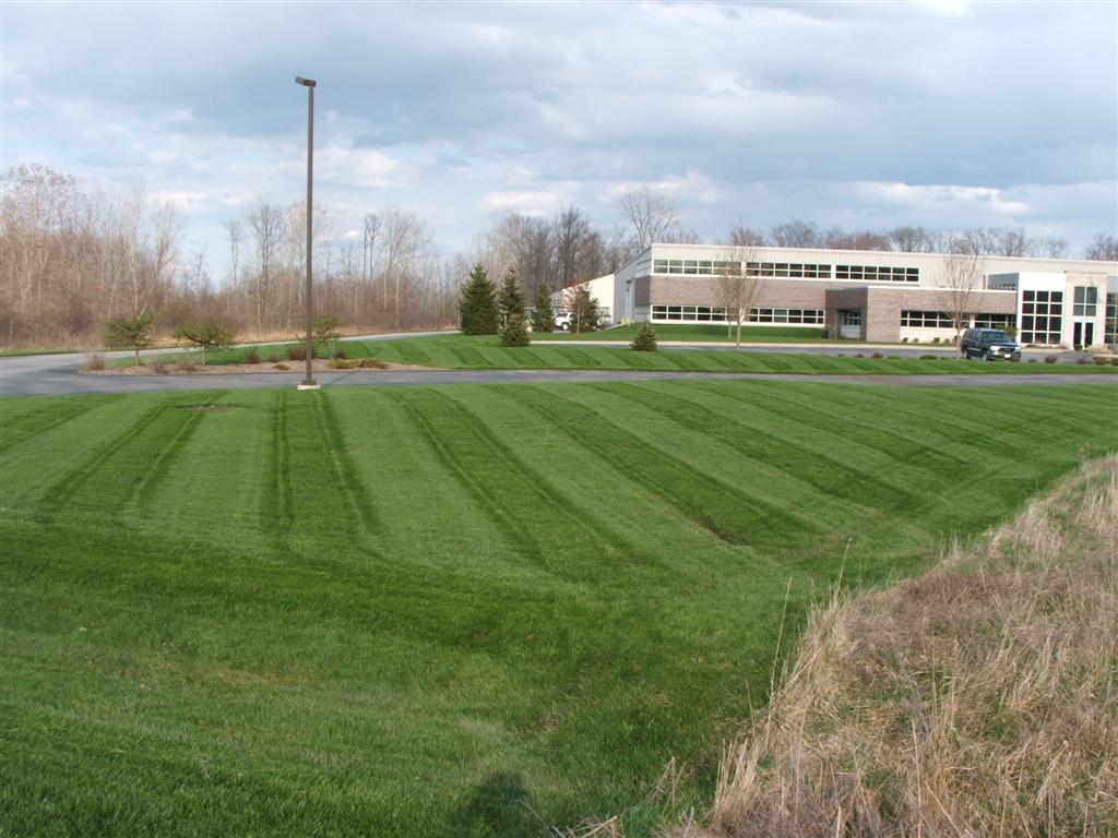 Green Landscape with Flowers and White Building in background